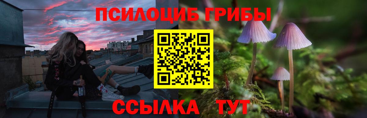 Первоуральск  купить   Вход с VPN  Галлюциногенные грибы Magic Shrooms 